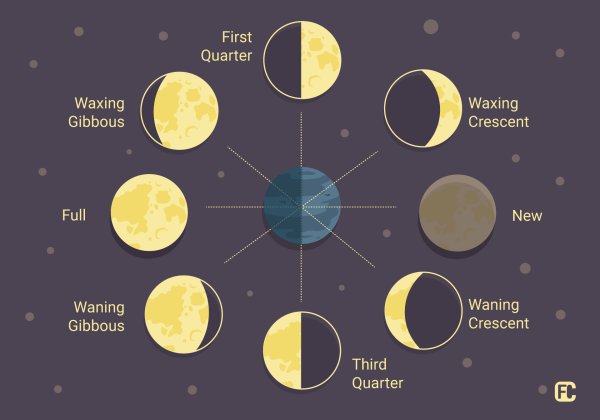 Фазы Луны картинки