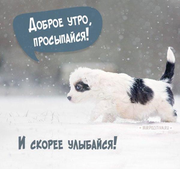 С добрым снежным утром прикольные