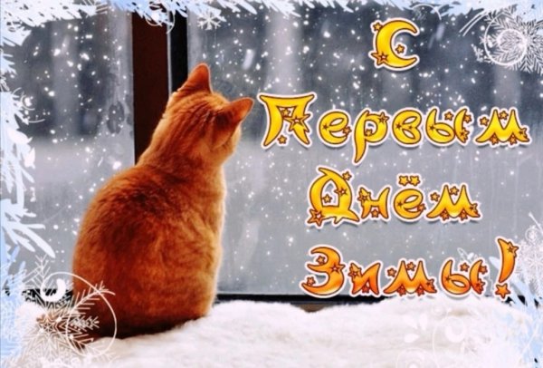 С первым зимним днем