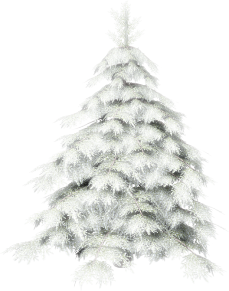 Елка в снегу