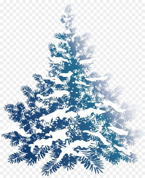 Голубая елочка