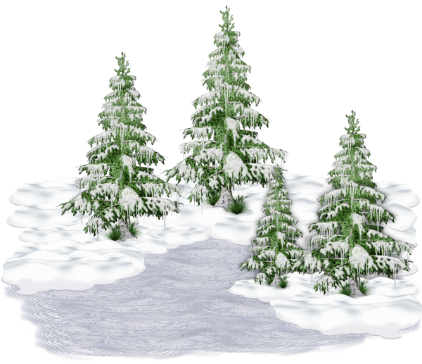 Елочка в снегу на прозрачном фоне