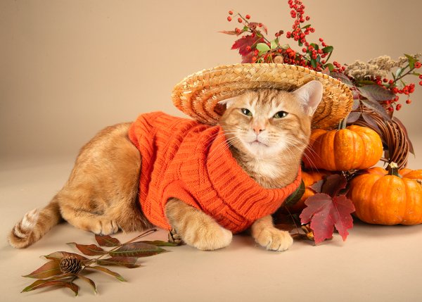 С последним понедельником осени