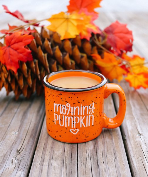 Кружка «осень»