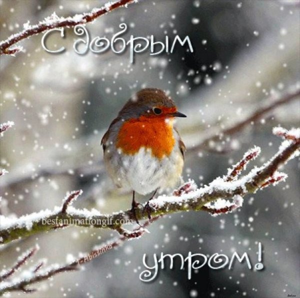 Доброе Снежное утро