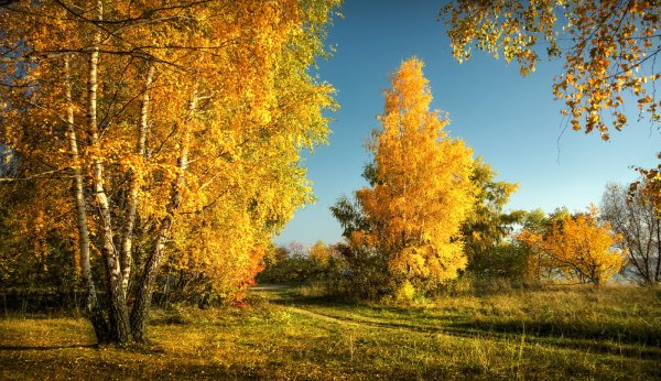 Солнечный осенний день