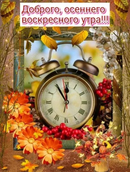 С добрым осенним утром воскресенья