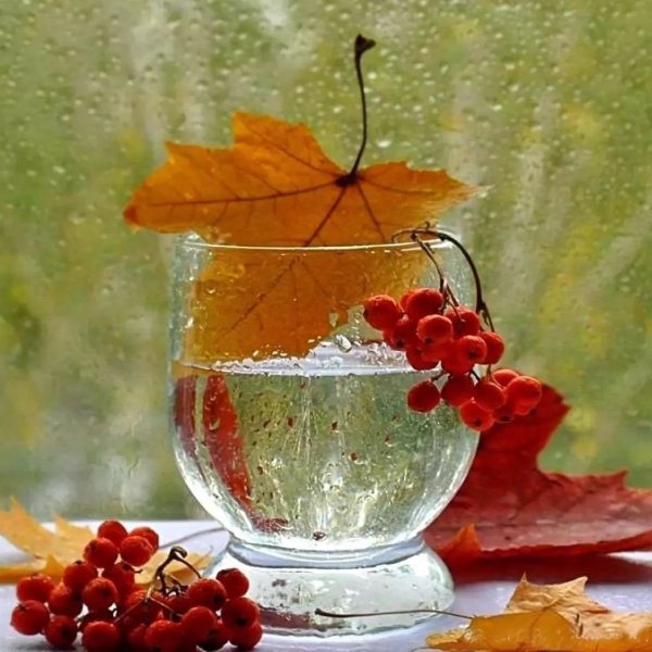 С добрым осенним утром