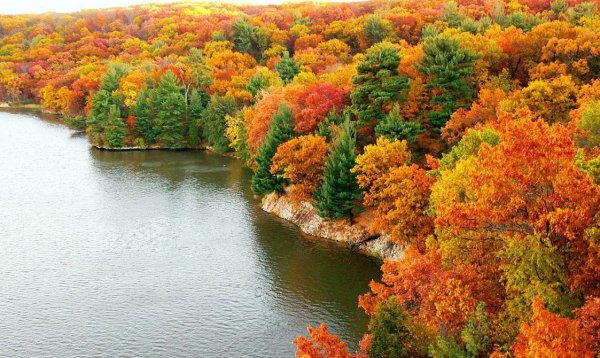 Сентябрь природа