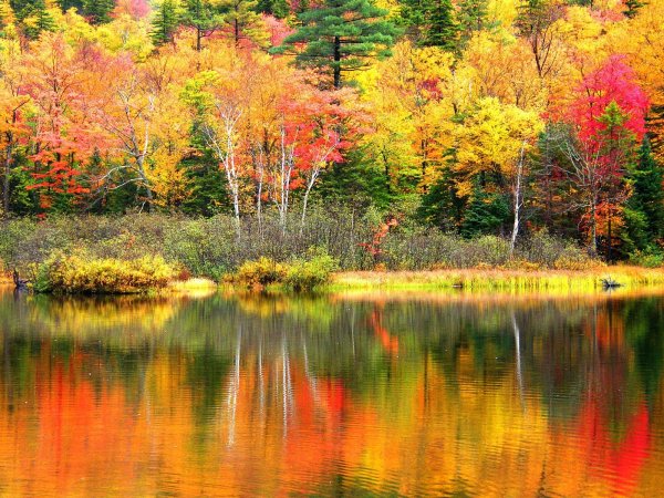 Природа осенью