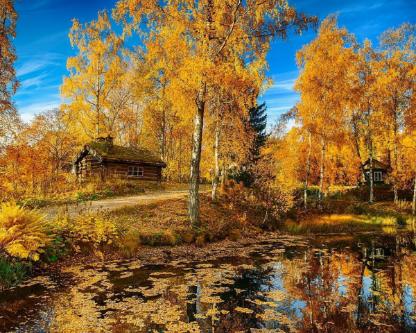 Природа осенью