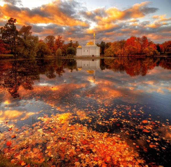 Эдуард Гордеев осень в Царском селе.