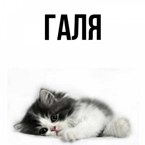 Привет Галя