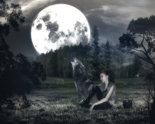 Волк Луна девушка
