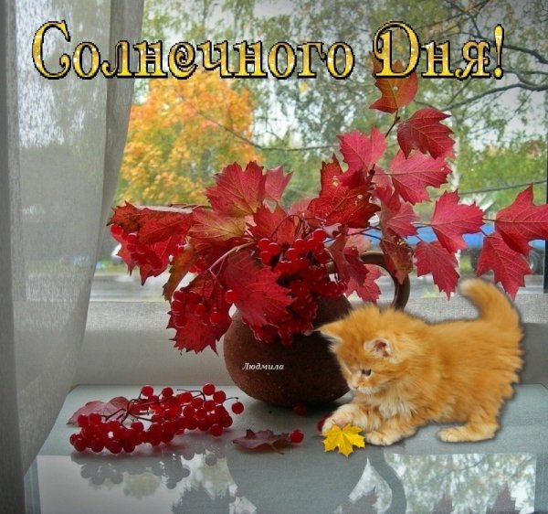 Доброго теплого осеннего дня