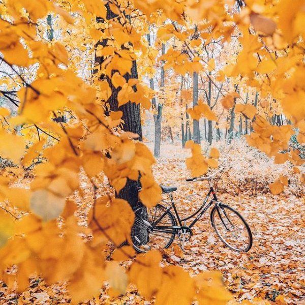 Теплых осенних деньков