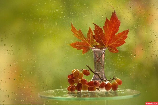 Тёплая осень