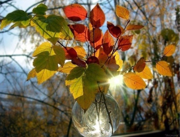 Солнечный осенний денек