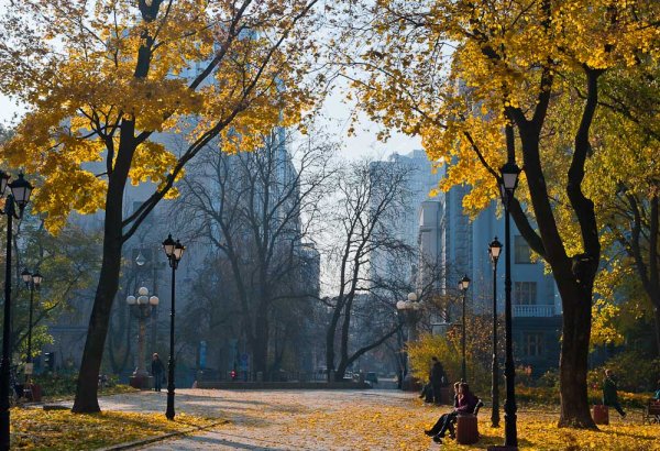 Улица поздняя осень