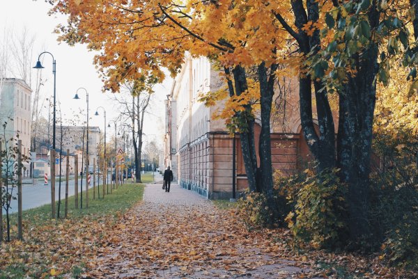 Город осенью