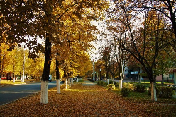 Осенний Железногорск Курская область