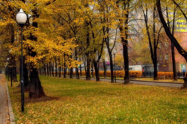 Осенний городской пейзаж фото