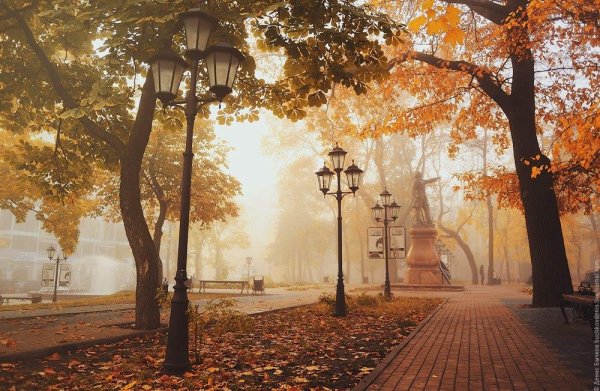 Воронеж Петровский сквер осень