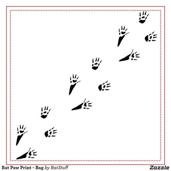 Следы крысиных лап