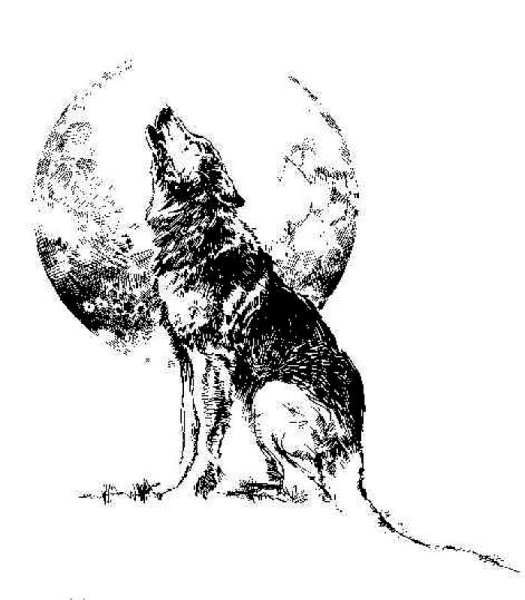 Волк воет на луну вектор