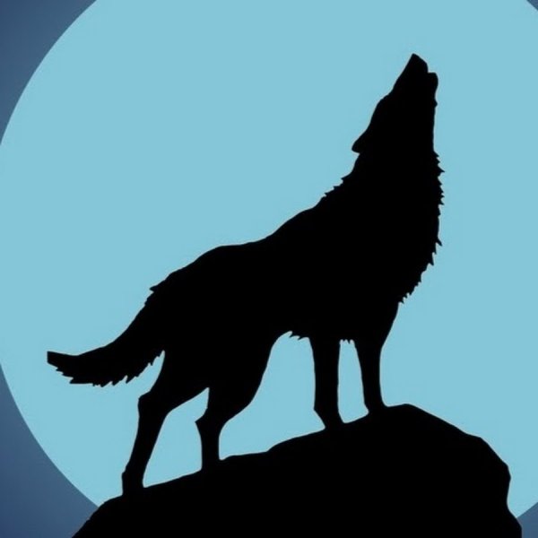 Силуэт волка