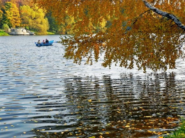 Водоём и лодка осень