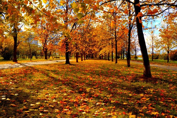 Осенний парк