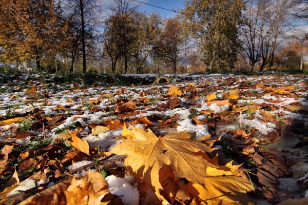 Осень заканчивается