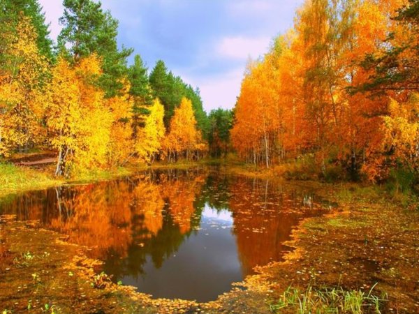 Осень в Сибири