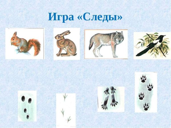 Отгадай чей след игра для детей