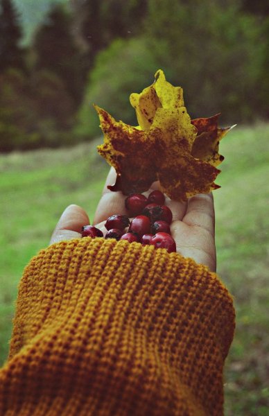 Необычная осень