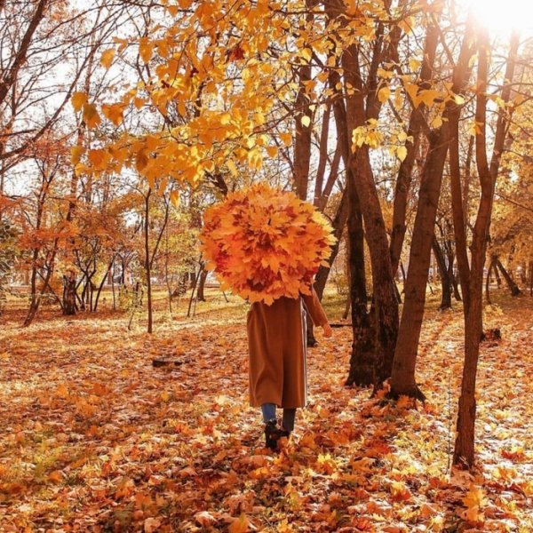 Осенние мысли