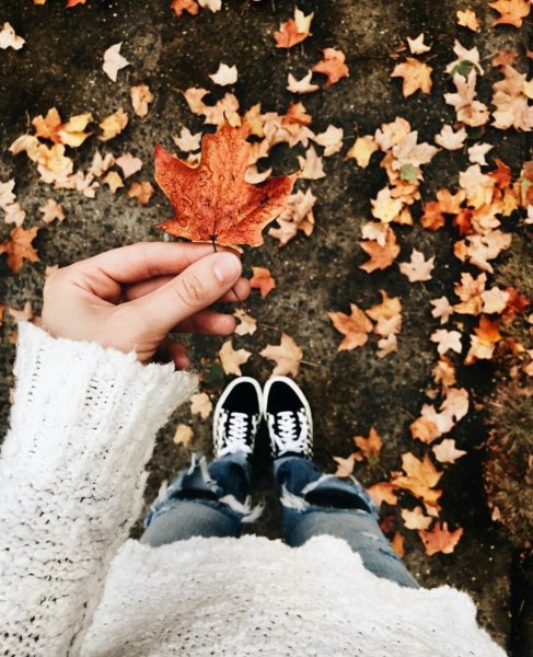 Креативные фото осень