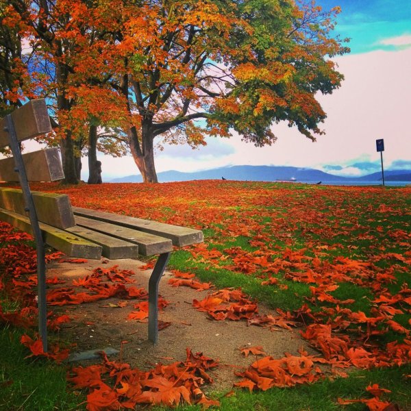 Странная осень