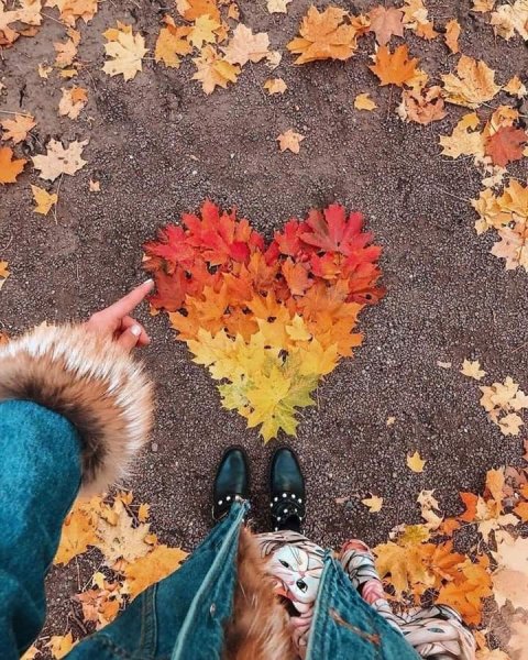 Про осень прикольные