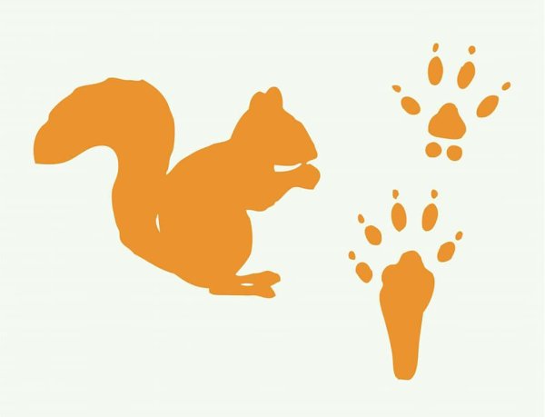 Следы животных