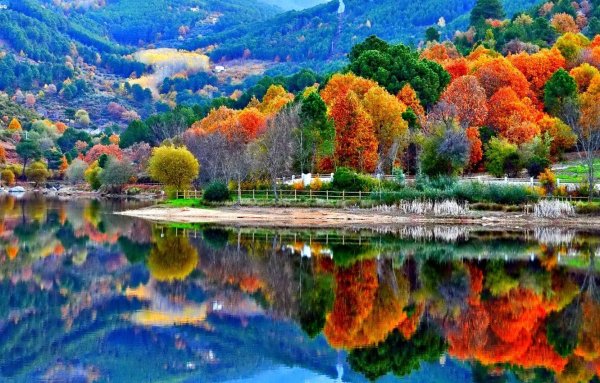 Красота осени