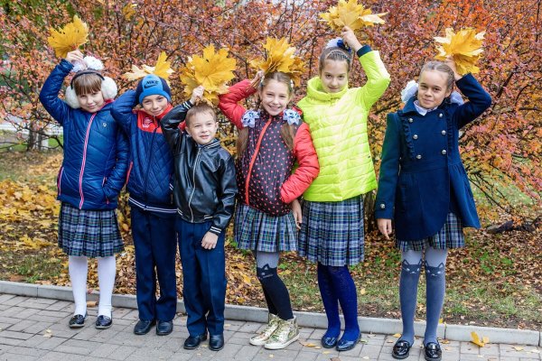 Школа осенью