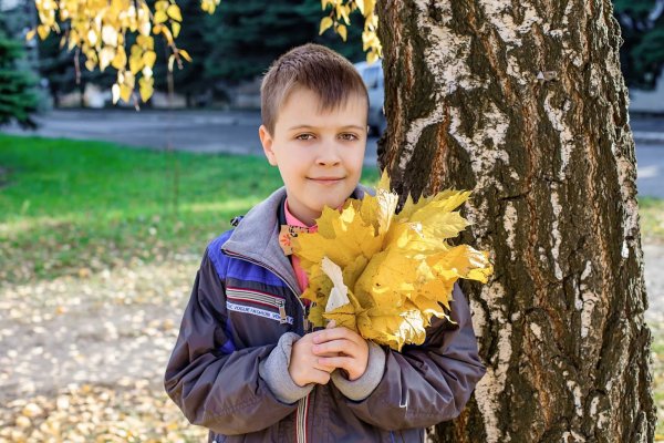 Осень школа