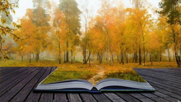 Книга на фоне природы