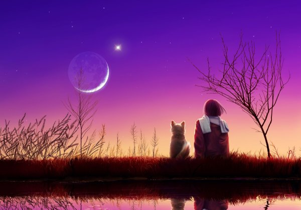 Ночная природа