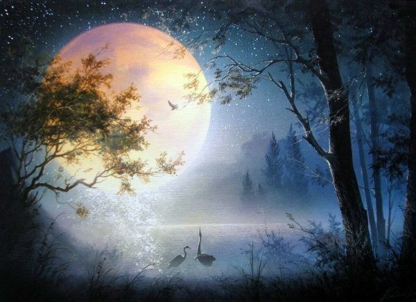 Виктор Юшкевич ночь