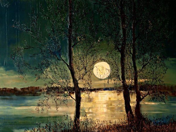 Юстина Копаня ночь ..Луна