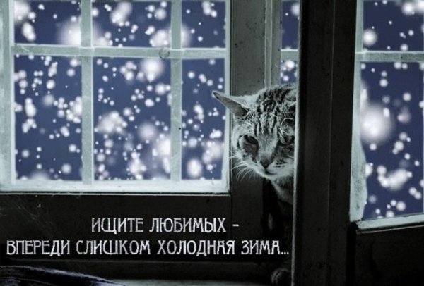 За окном идет снег