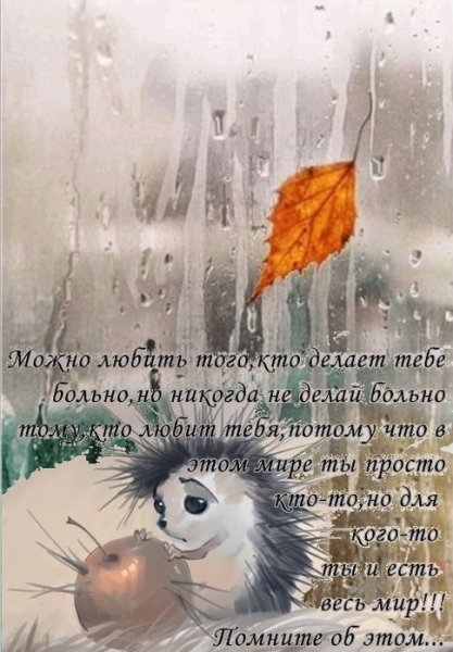 С добрым дождливым утром пожелания